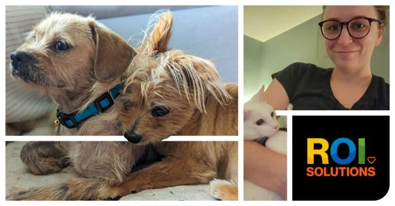 ROI Solutions | Team Gets Big Love by Giving Back and Fostering Animals