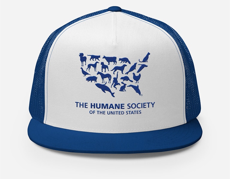 ROI Solutions | The Humane Society Hat